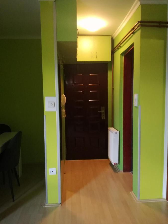 Appartamento Apartman Gaga Pirot Esterno foto