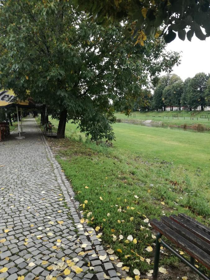 Appartamento Apartman Gaga Pirot Esterno foto
